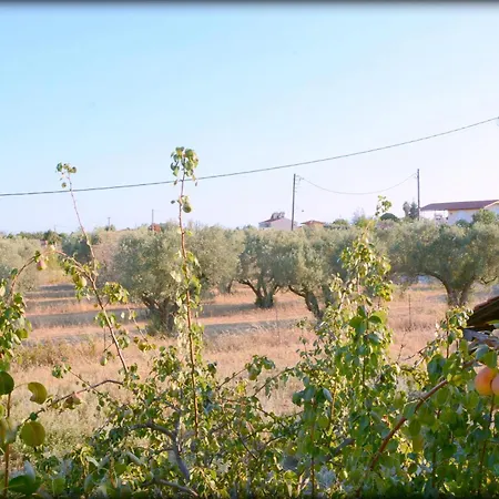 George Sunset Flat Appartement Vergia