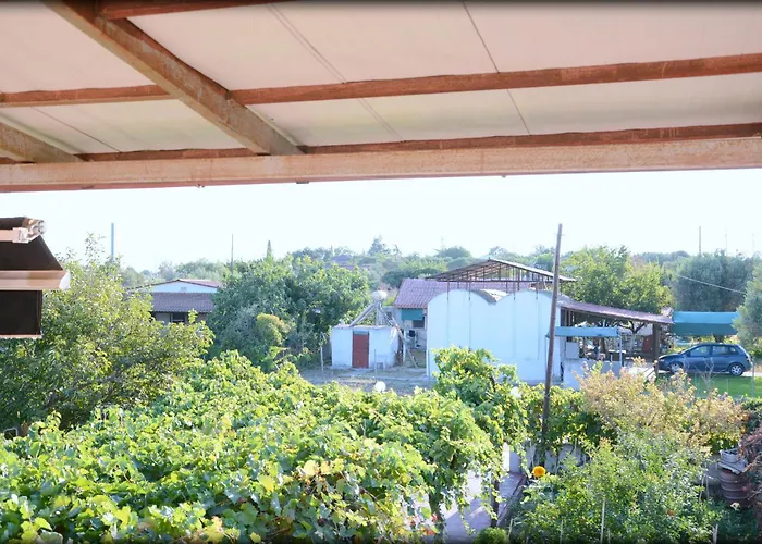 George Sunset Flat Vergia