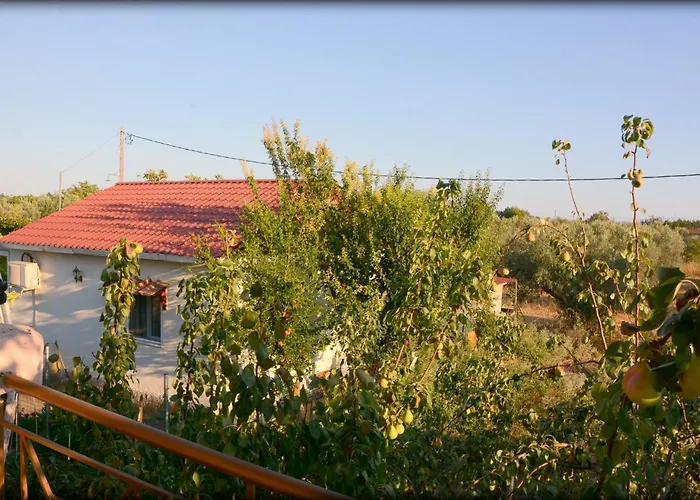 George Sunset Flat *