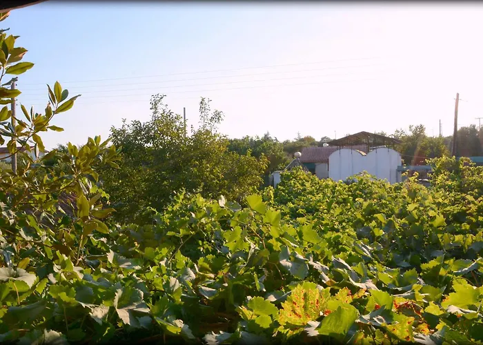 George Sunset Flat *