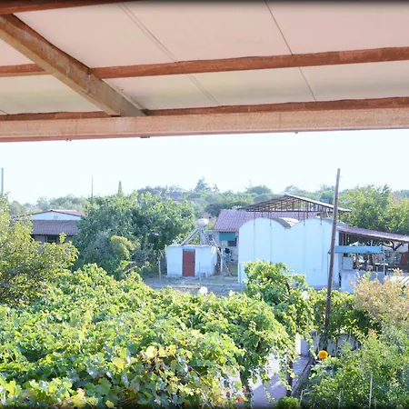 George Sunset Flat Vergia